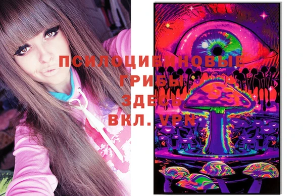 мдпв Пересвет