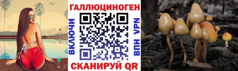 Псилоцибиновые грибы Magic Shrooms  Сковородино 